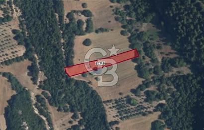 Bursa Başak'ta Satılık 2215 m2 Fırsat Tarla