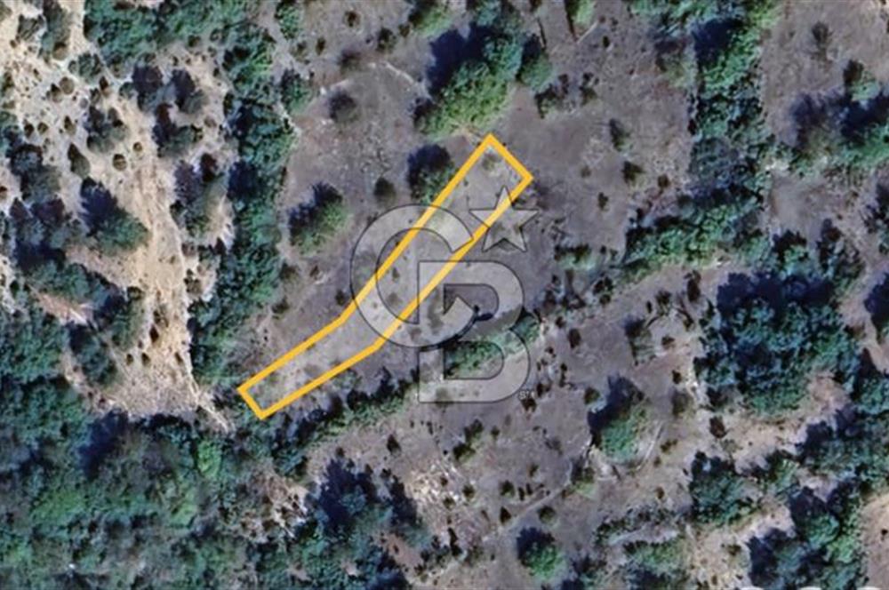 Başak'ta Yatırımlık Satılık 2720 m2 Tarla