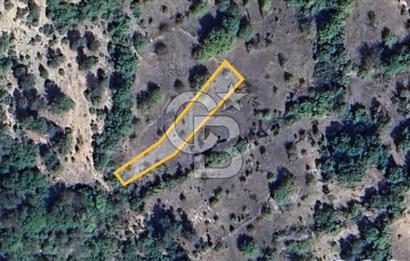 Başak'ta Yatırımlık Satılık 2720 m2 Tarla