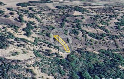 Başak'ta Uygun Fiyatlı Köy Merkezine Yakın Satılık Tarla