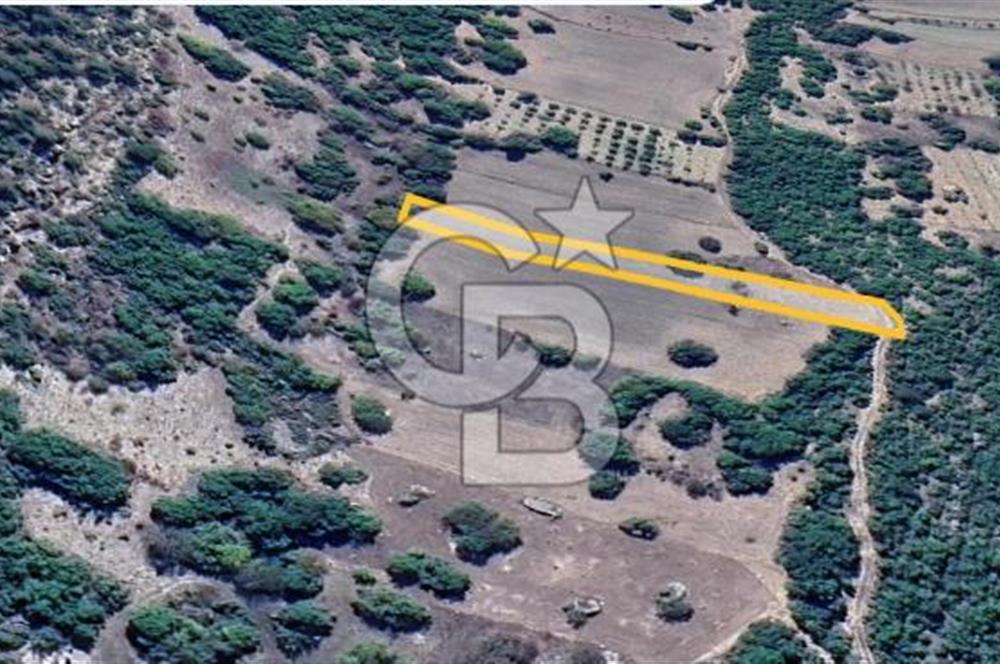 Bursa Başak'ta Satılık 2215 m2 Fırsat Tarla