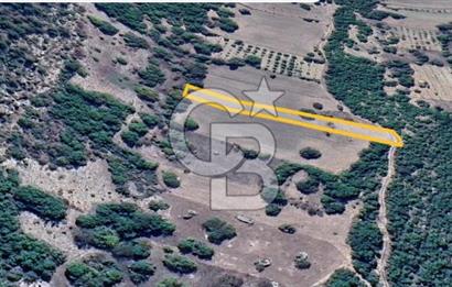 Bursa Başak'ta Satılık 2215 m2 Fırsat Tarla