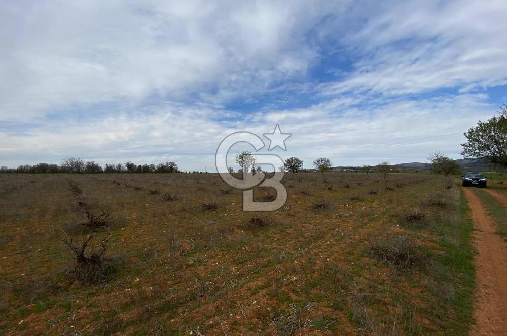 Bekilli Yeşiloba 'da Satılık Tarla 