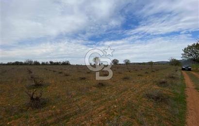 Bekilli Yeşiloba 'da Satılık Tarla 