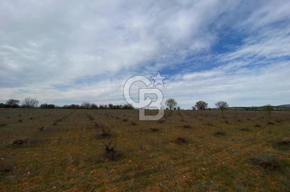 Bekilli Yeşiloba 'da Satılık Tarla 