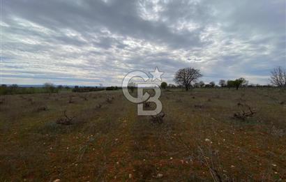 Bekilli Yeşiloba 'da Satılık Tarla 