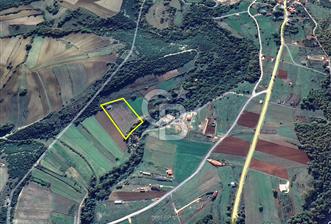 Körfez Ali Hocalar KİRALIK 5200 m2 TARLA ve Tek oda yapı - 12 - 345219