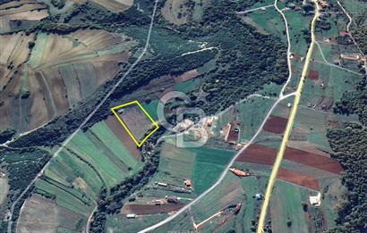 Körfez Ali Hocalar KİRALIK 5200 m2 TARLA ve Tek oda yapı
