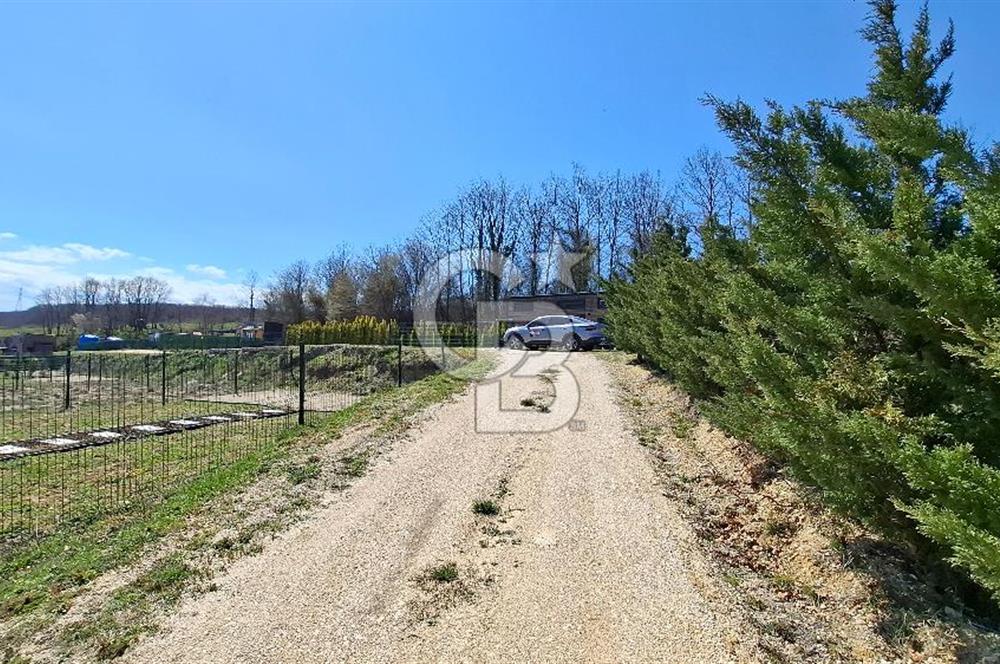 ÇATALCA Binkılıç'ta SATILIK Tiny House Parseli ve Hobi Bahçesi