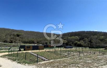 ÇATALCA Binkılıç'ta SATILIK Tiny House Parseli ve Hobi Bahçesi