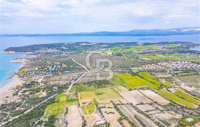 Çeşme Altınkum'da Deniz Manzaralı Tarla