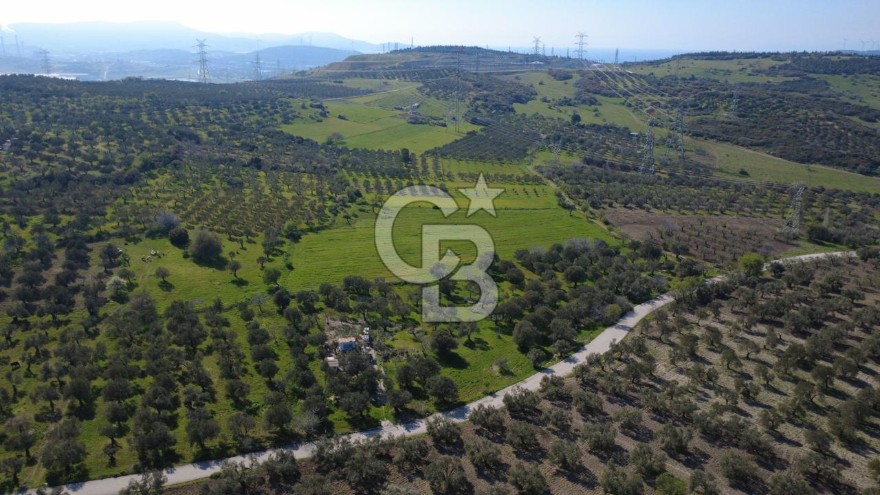 SAMURLUDA 10500m2 SATILIK YOLU OLAN TARLA