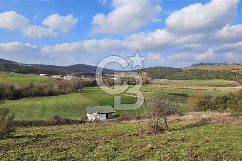 Körfez Ali Hocalar KİRALIK 5200 m2 TARLA ve Tek oda yapı