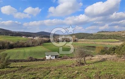 Körfez Ali Hocalar KİRALIK 5200 m2 TARLA ve Tek oda yapı