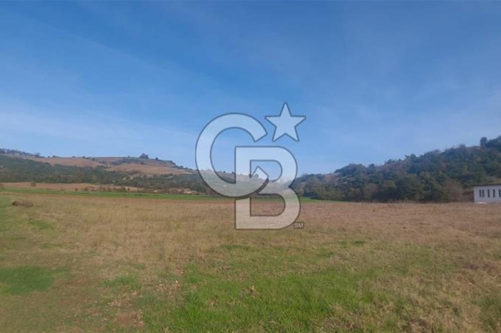 Körfez Ali Hocalar KİRALIK 5200 m2 TARLA ve Tek oda yapı