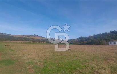 Körfez Ali Hocalar KİRALIK 5200 m2 TARLA ve Tek oda yapı