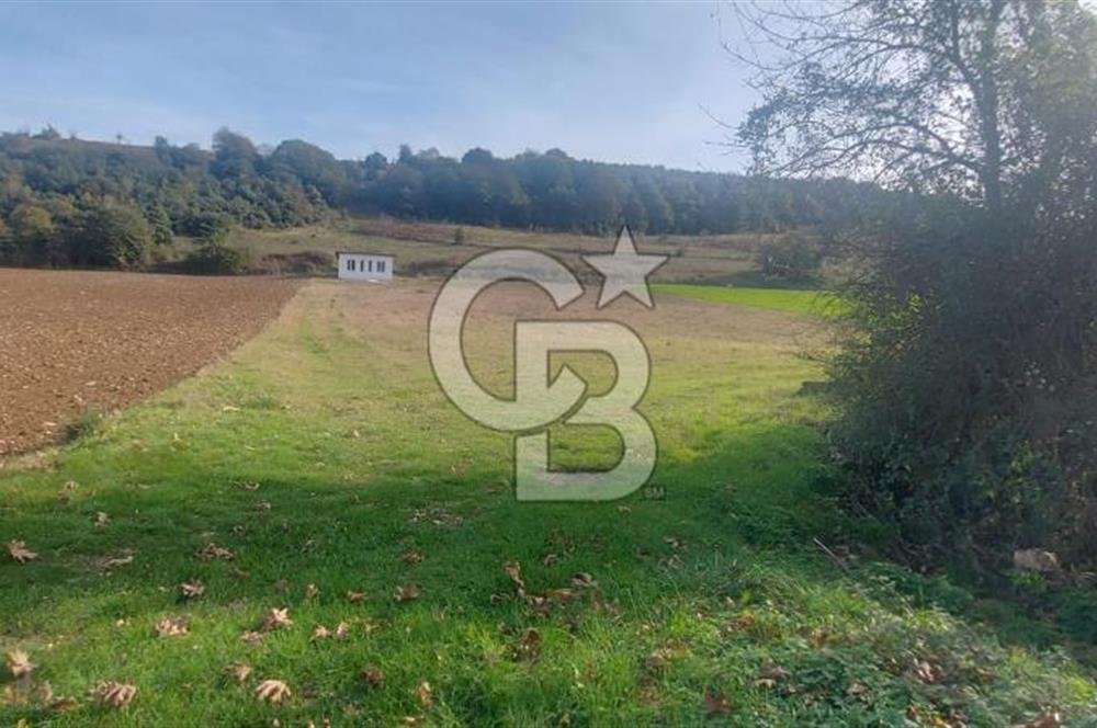 Körfez Ali Hocalar KİRALIK 5200 m2 TARLA ve Tek oda yapı