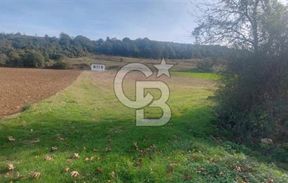 Körfez Ali Hocalar KİRALIK 5200 m2 TARLA ve Tek oda yapı