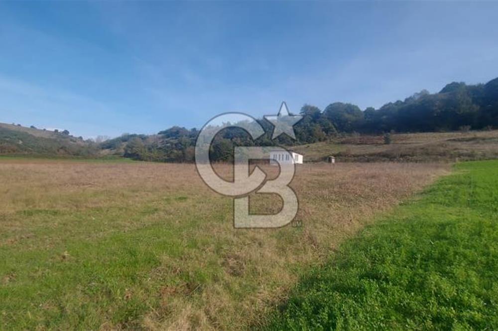 Körfez Ali Hocalar KİRALIK 5200 m2 TARLA ve Tek oda yapı