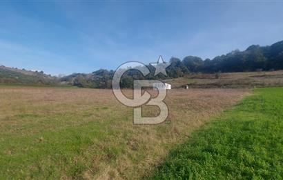 Körfez Ali Hocalar KİRALIK 5200 m2 TARLA ve Tek oda yapı