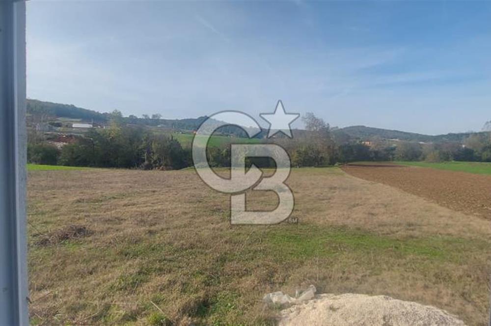 Körfez Ali Hocalar KİRALIK 5200 m2 TARLA ve Tek oda yapı