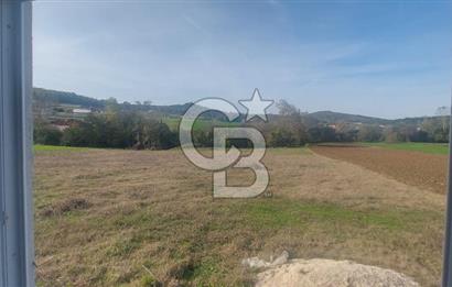 Körfez Ali Hocalar KİRALIK 5200 m2 TARLA ve Tek oda yapı