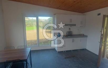 Körfez Ali Hocalar KİRALIK 5200 m2 TARLA ve Tek oda yapı