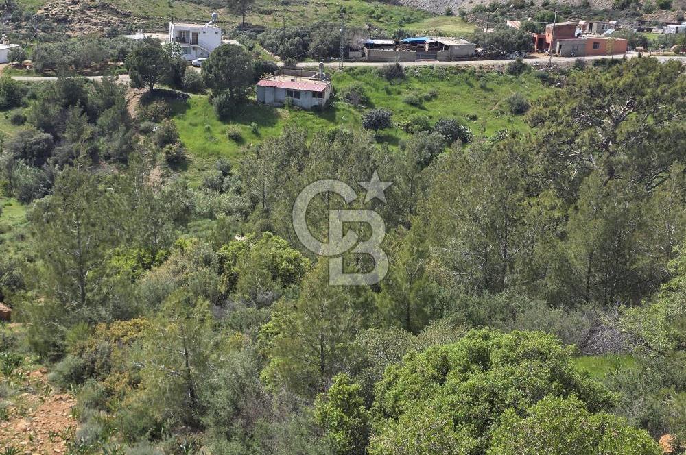 MERSİN SİLİFKE HIRMANLIDA SATILIK TARLA