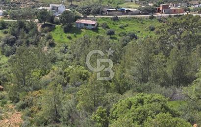 MERSİN SİLİFKE HIRMANLIDA SATILIK TARLA