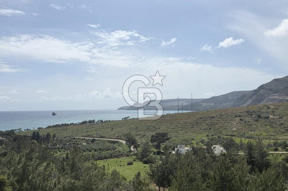 MERSİN SİLİFKE HIRMANLIDA SATILIK TARLA