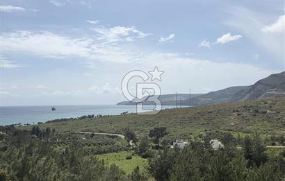 MERSİN SİLİFKE HIRMANLIDA SATILIK TARLA