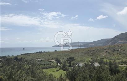 MERSİN SİLİFKE HIRMANLIDA SATILIK TARLA