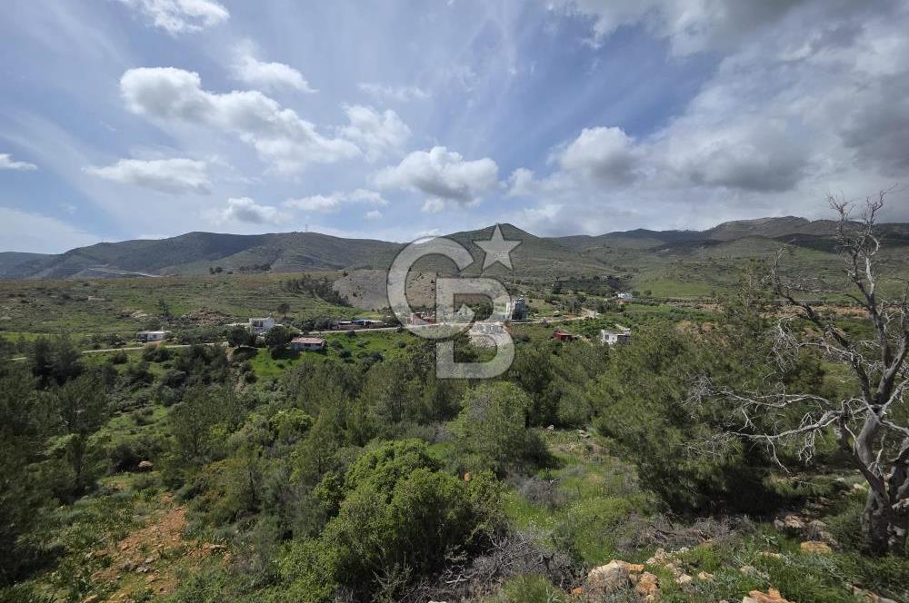 MERSİN SİLİFKE HIRMANLIDA SATILIK TARLA