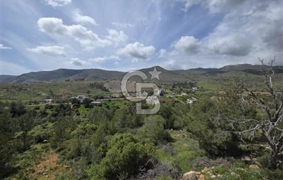 MERSİN SİLİFKE HIRMANLIDA SATILIK TARLA