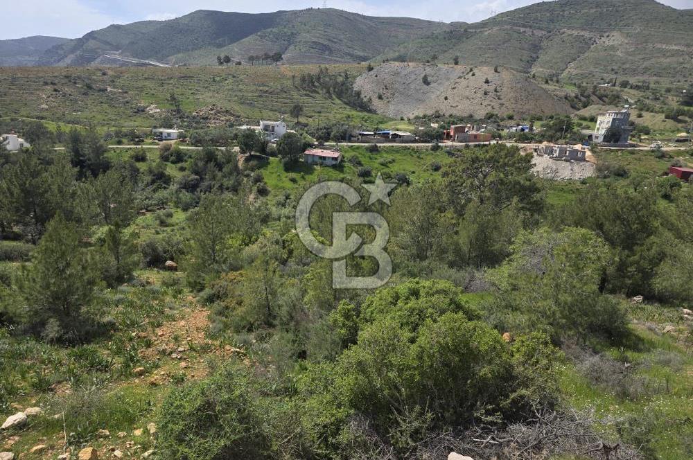 MERSİN SİLİFKE HIRMANLIDA SATILIK TARLA