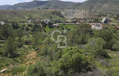 MERSİN SİLİFKE HIRMANLIDA SATILIK TARLA