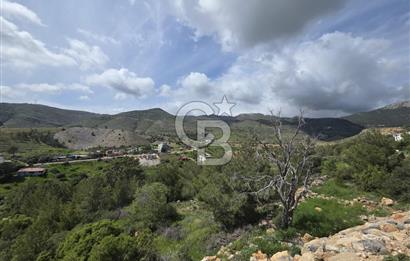 MERSİN SİLİFKE HIRMANLIDA SATILIK TARLA