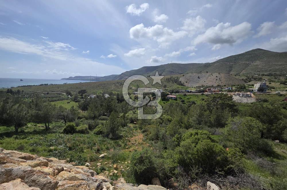 MERSİN SİLİFKE HIRMANLIDA SATILIK TARLA