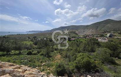 MERSİN SİLİFKE HIRMANLIDA SATILIK TARLA