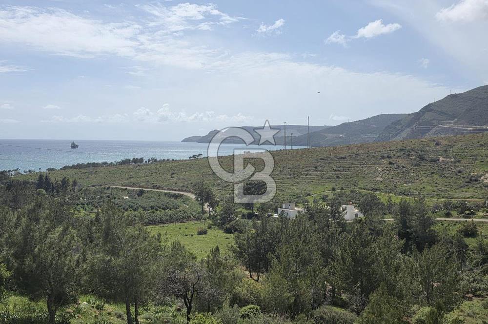 MERSİN SİLİFKE HIRMANLIDA SATILIK TARLA