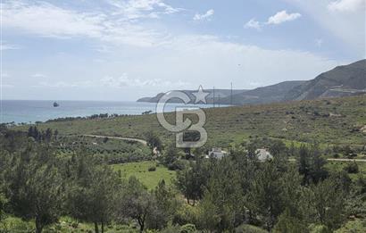 MERSİN SİLİFKE HIRMANLIDA SATILIK TARLA