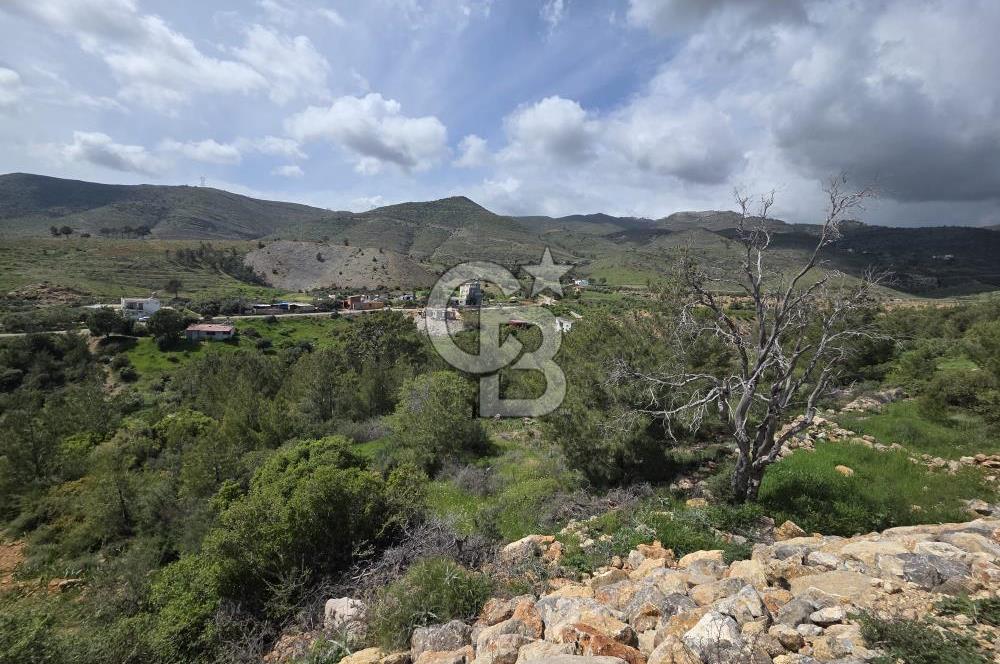 MERSİN SİLİFKE HIRMANLIDA SATILIK TARLA