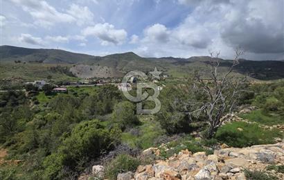 MERSİN SİLİFKE HIRMANLIDA SATILIK TARLA