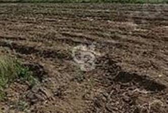 CB AKADEMİ Eskisehir Kavacıkta Yola Cephe Yatırımlık Tarla - 1 - 345183