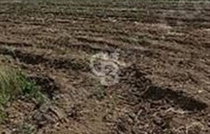 CB AKADEMİ Eskisehir Kavacıkta Yola Cephe Yatırımlık Tarla