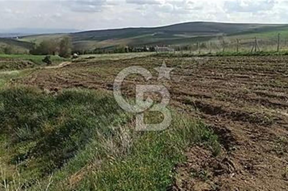 CB AKADEMİ Eskisehir Kavacıkta Yola Cephe Yatırımlık Tarla
