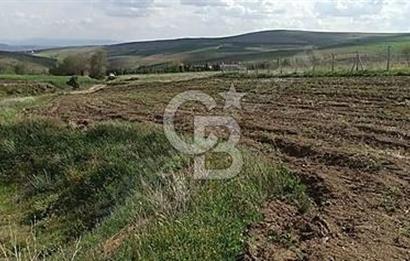 CB AKADEMİ Eskisehir Kavacıkta Yola Cephe Yatırımlık Tarla