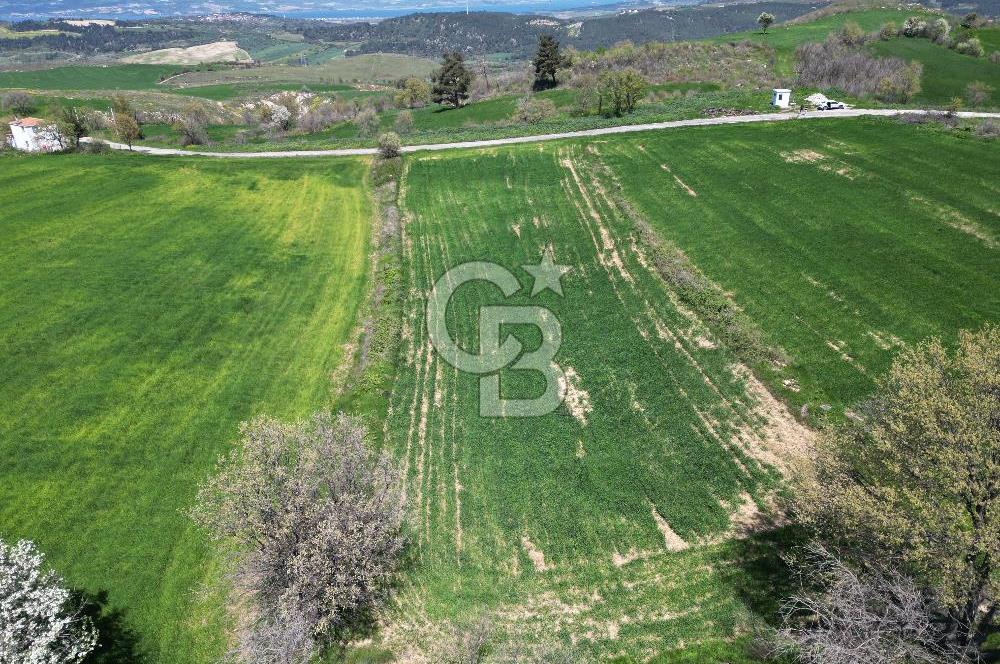 KIZILKEÇİLİDE ASFALT YOLA CEPHE DENİZ MANZARALI SATILIK TARLA