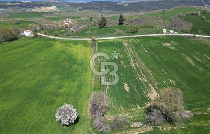KIZILKEÇİLİDE ASFALT YOLA CEPHE DENİZ MANZARALI SATILIK TARLA