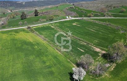 KIZILKEÇİLİDE ASFALT YOLA CEPHE DENİZ MANZARALI SATILIK TARLA